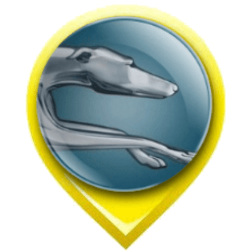 Greyhound Bus Station Drivers Accepting Cash