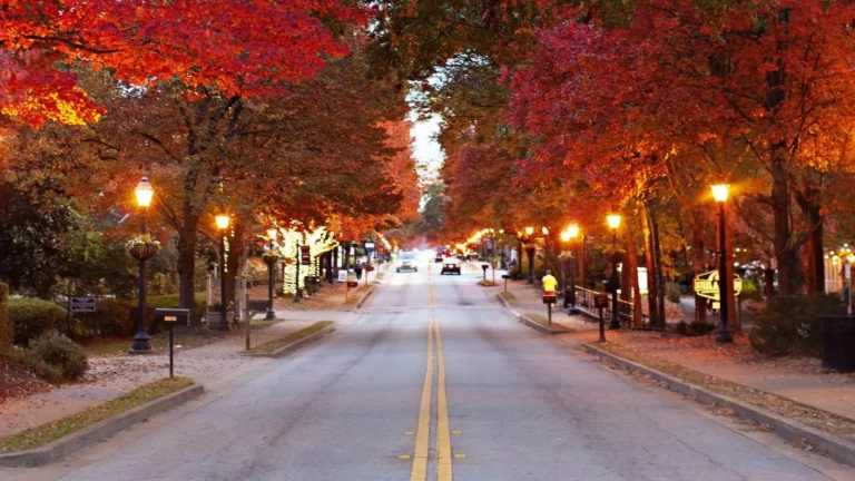 explore cashryde drivers in roswell ga 2 768x432