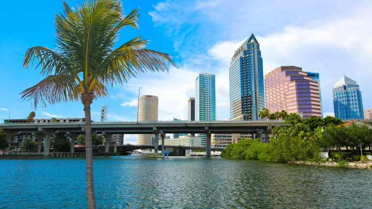 explore cashryde drivers in tampa fl 2 768x432