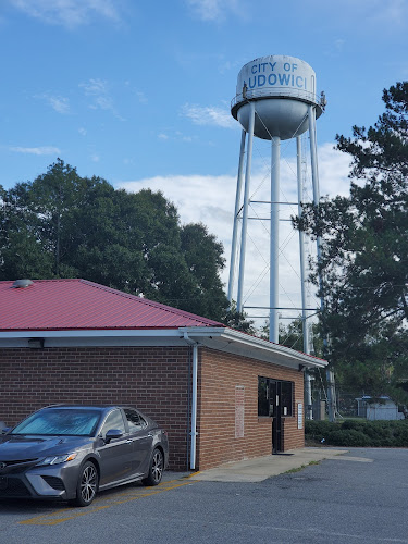 CashRyde Drivers in Daisy, Georgia