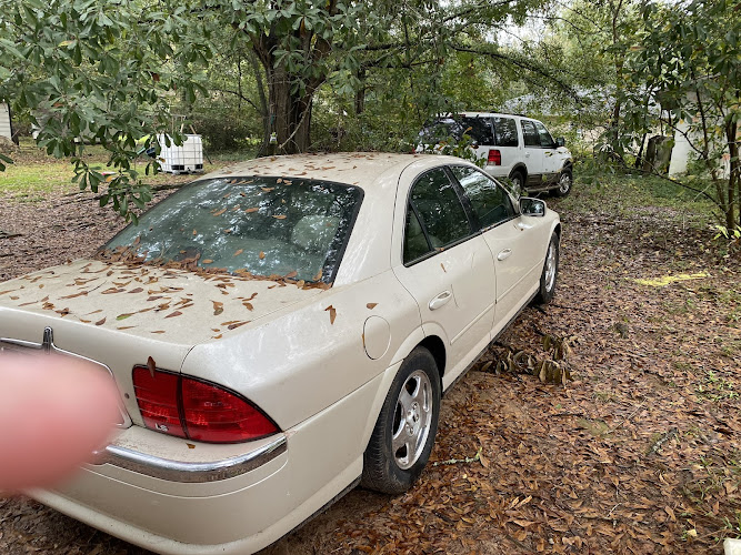 CashRyde Drivers in Newborn, Georgia