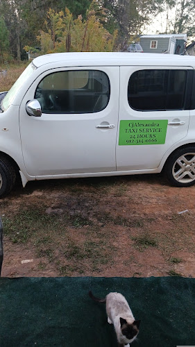CashRyde Drivers in Lyons, Georgia