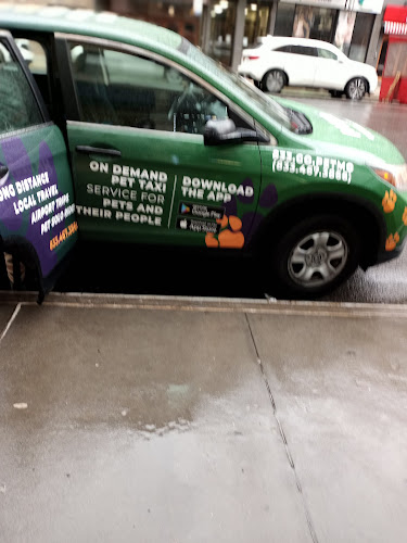 cashryde-taxi-92554